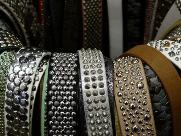 Fashion Belts