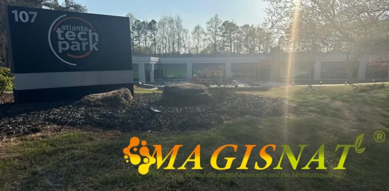 a building with a large rock in the middle