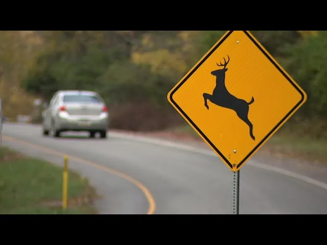 Roadway Lifeguardian™ 